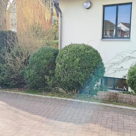 Pematra Mollenhauer Lübeck