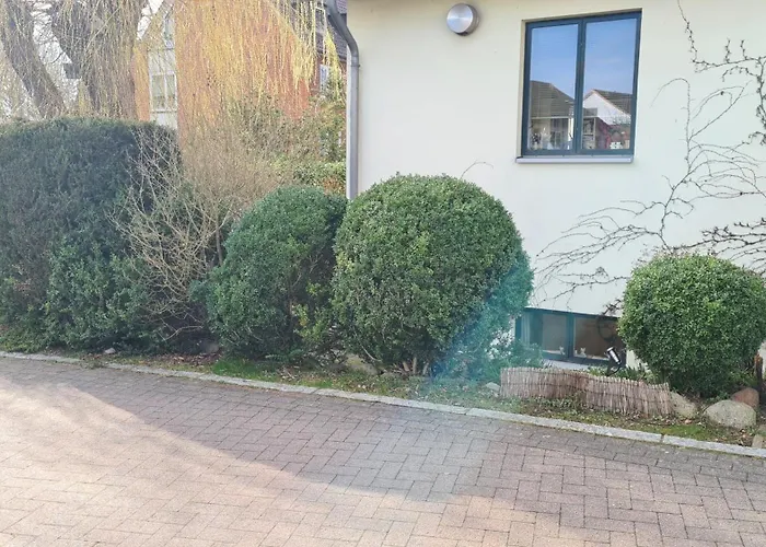 Pematra Mollenhauer Lübeck